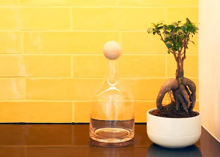 Invicta Ii * 波尔图