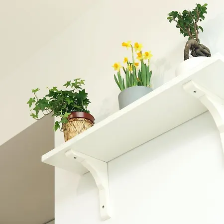 Invicta Ii 아파트 *